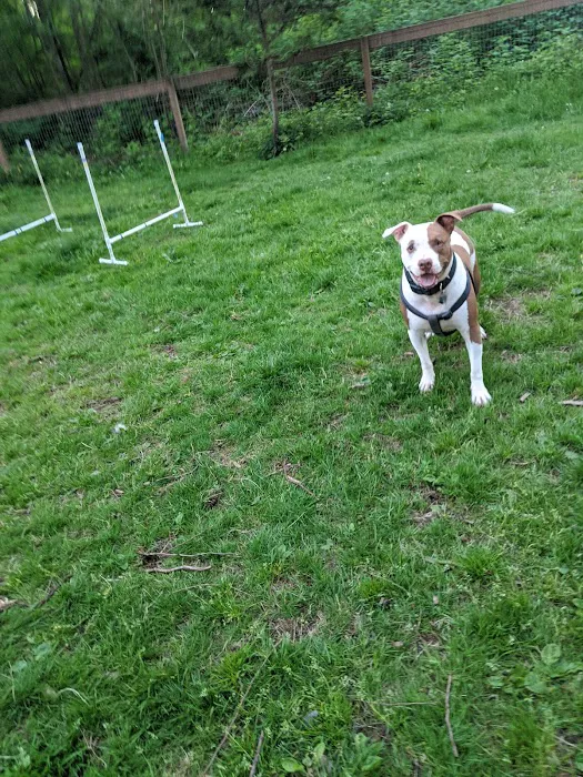 Granite Falls Dog Park 5