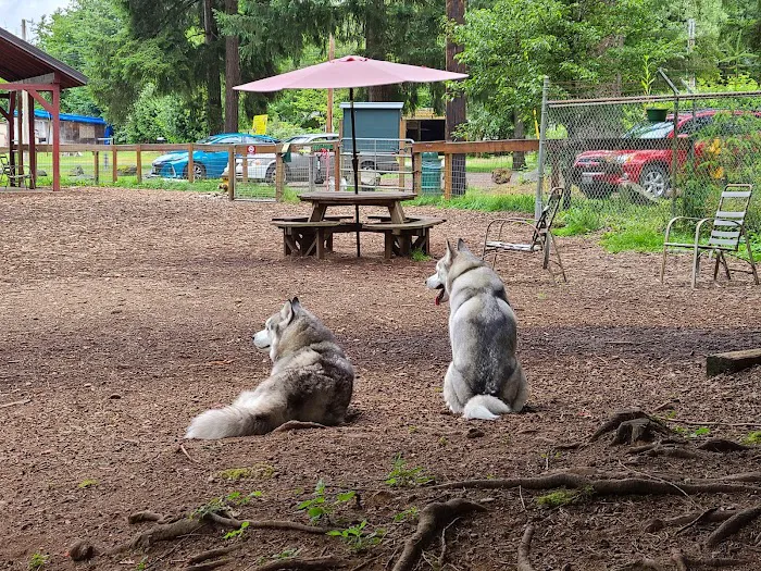 Granite Falls Dog Park 1