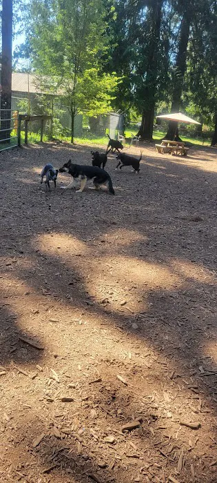 Granite Falls Dog Park 2