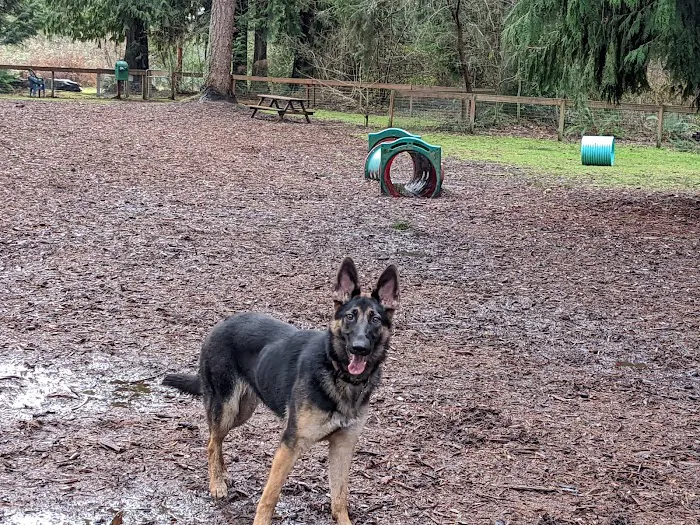 Granite Falls Dog Park 10