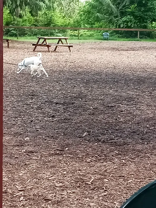 Granite Falls Dog Park 8