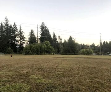 Olympia Dog Park