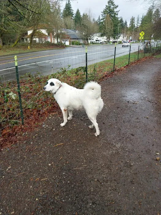 Olympia Dog Park 5