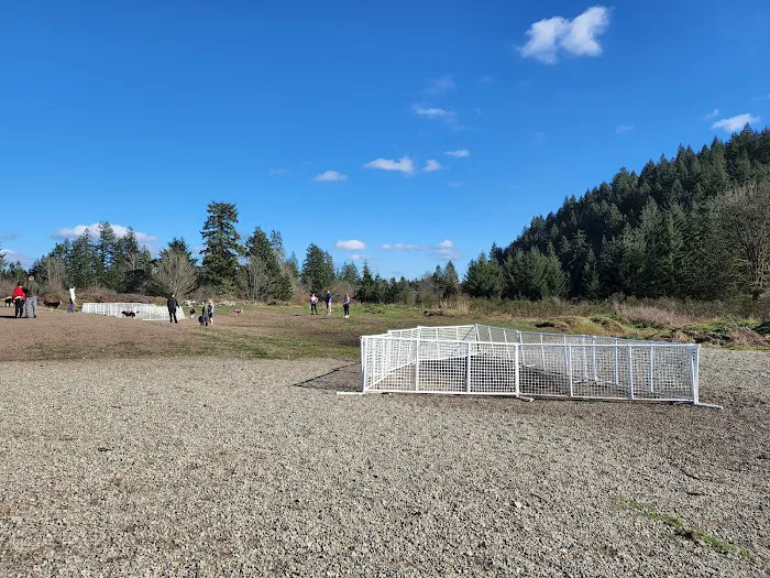 McLane Off-Leash Dog Park 6