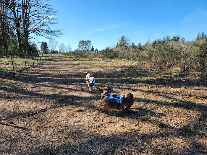 McLane Off-Leash Dog Park 7