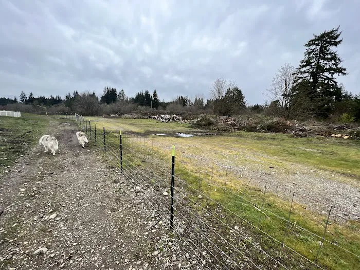 McLane Off-Leash Dog Park 1