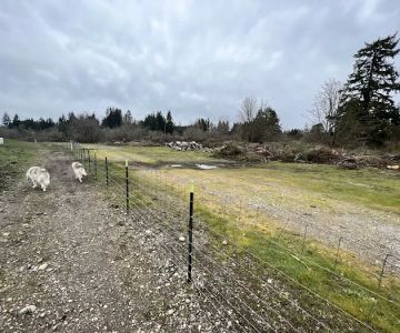 McLane Off-Leash Dog Park