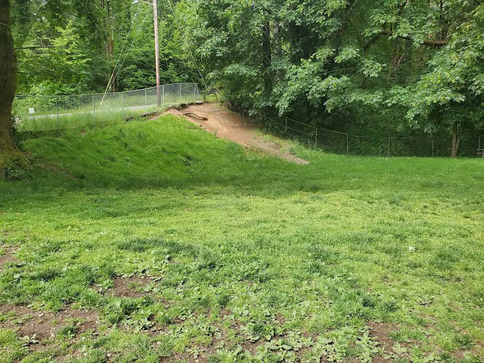 Kneeland Park Off Leash Dog Park 9