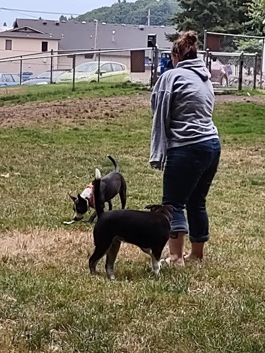 Kneeland Park Off Leash Dog Park 1