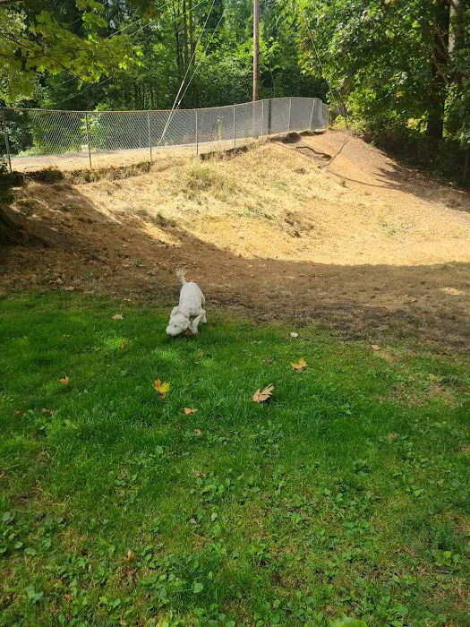 Kneeland Park Off Leash Dog Park 2
