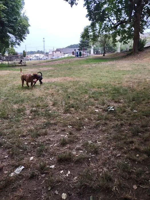 Kneeland Park Off Leash Dog Park 4