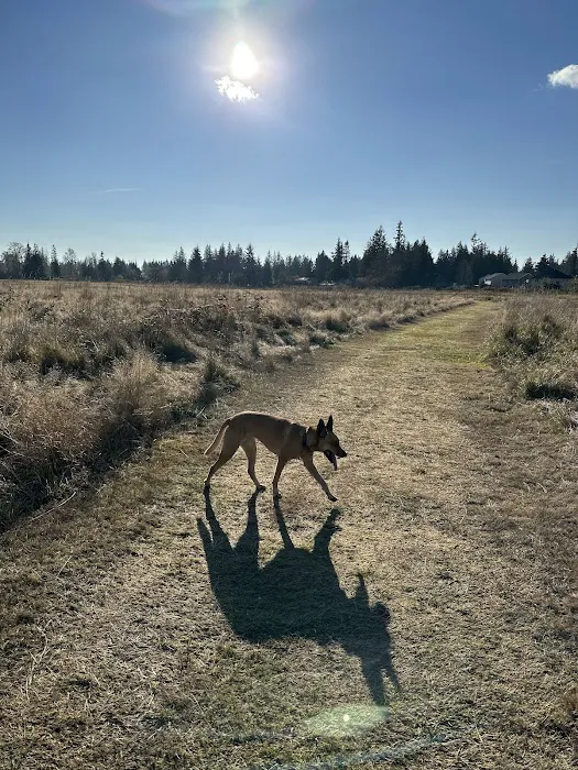 Strawberry Fields Off-Leash Dog Park 2
