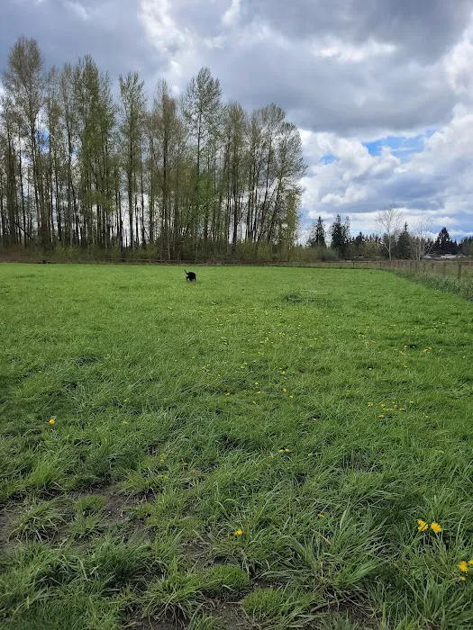 Strawberry Fields Off-Leash Dog Park 1