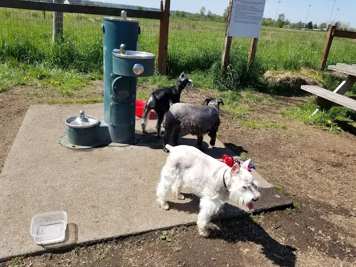 Strawberry Fields Off-Leash Dog Park 6
