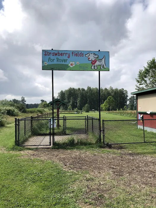 Strawberry Fields Off-Leash Dog Park 5