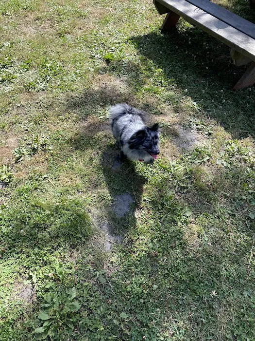 Offleash dog Park 6