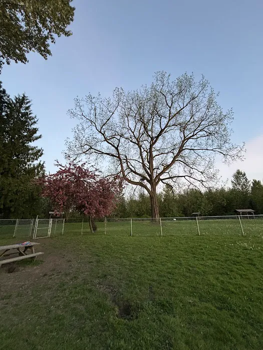 Offleash dog Park 1