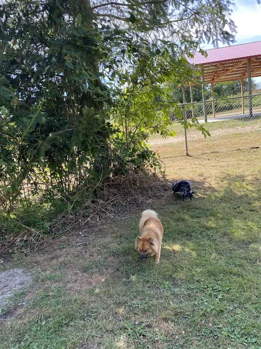 Offleash dog Park 3