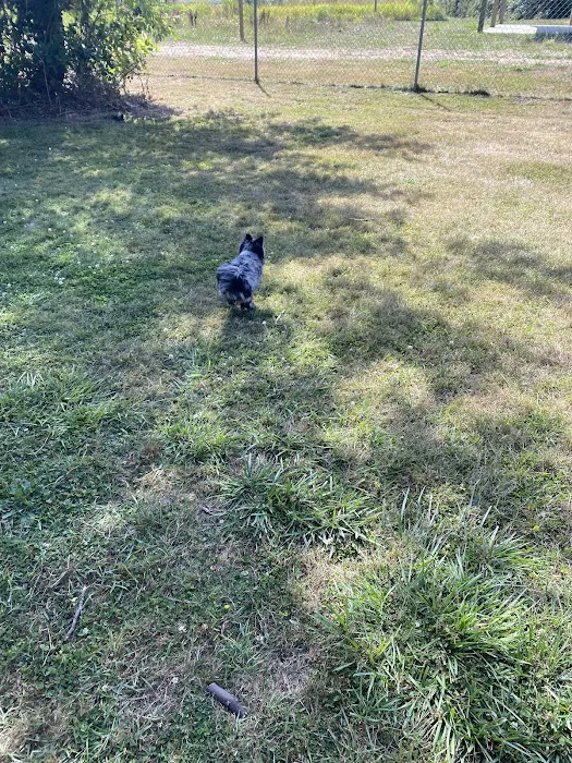 Offleash dog Park 2