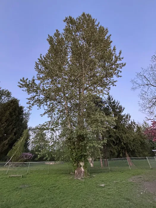 Offleash dog Park 7