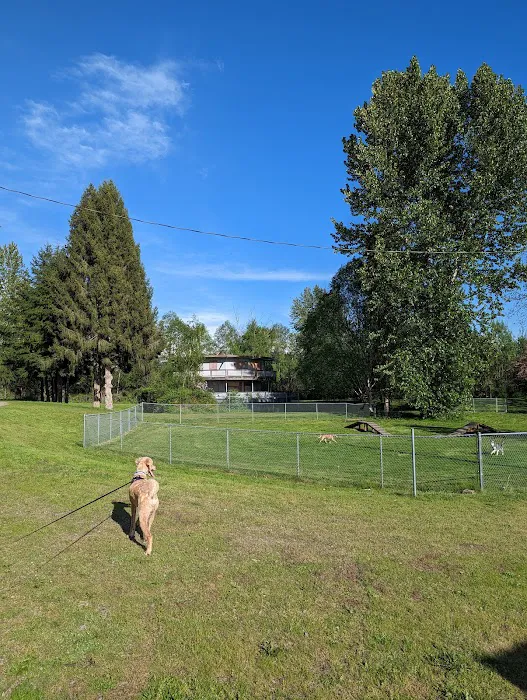 Offleash dog Park 10