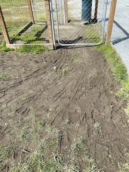 Heritage Dog Park 6