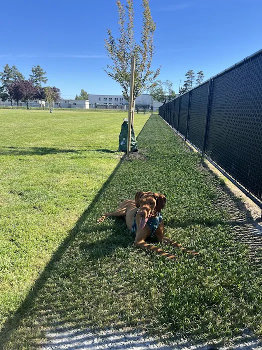 Heritage Dog Park 9
