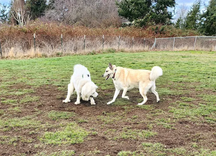 Henry Hollow Dog Park 5
