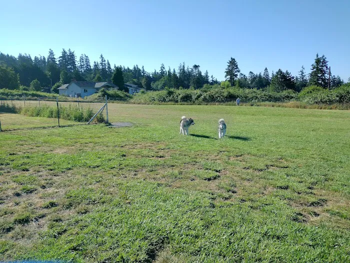 Henry Hollow Dog Park 4