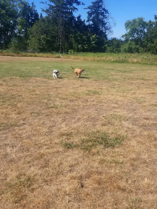 Henry Hollow Dog Park 2