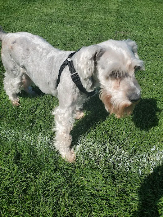 Bakerview Dog Park 2