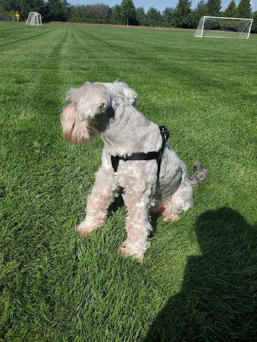 Bakerview Dog Park 4