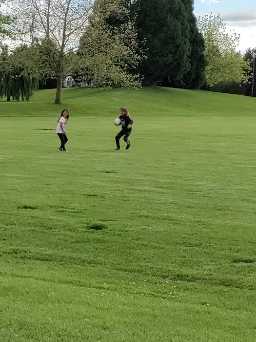 Bakerview Dog Park 3