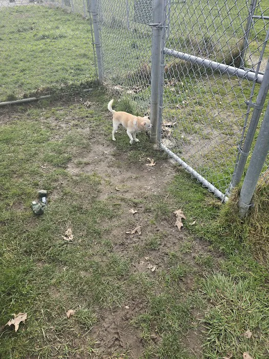 Bakerview Dog Park 7