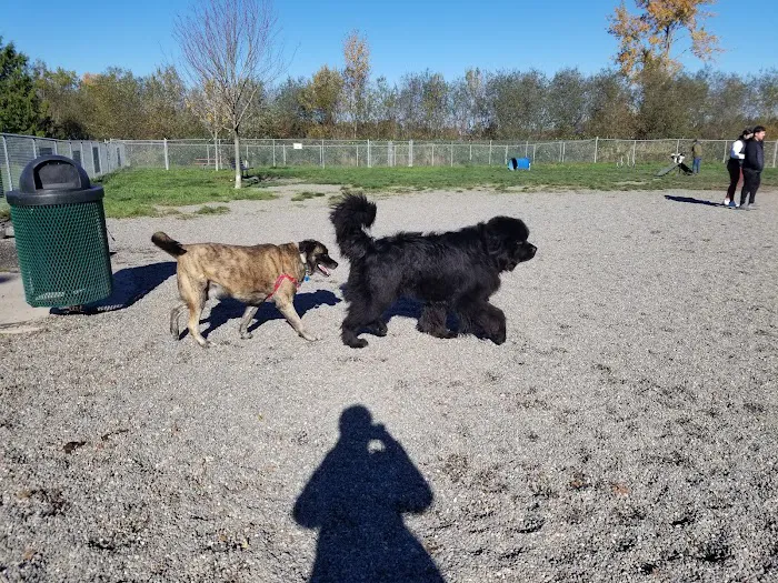 Bakerview Dog Park 9