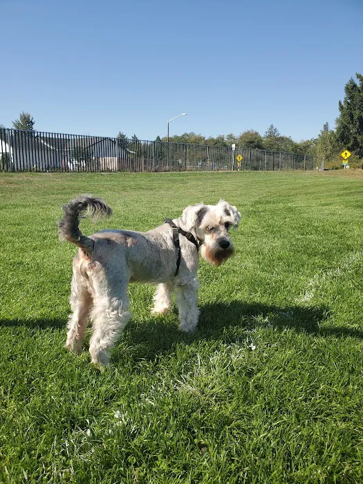Bakerview Dog Park 10
