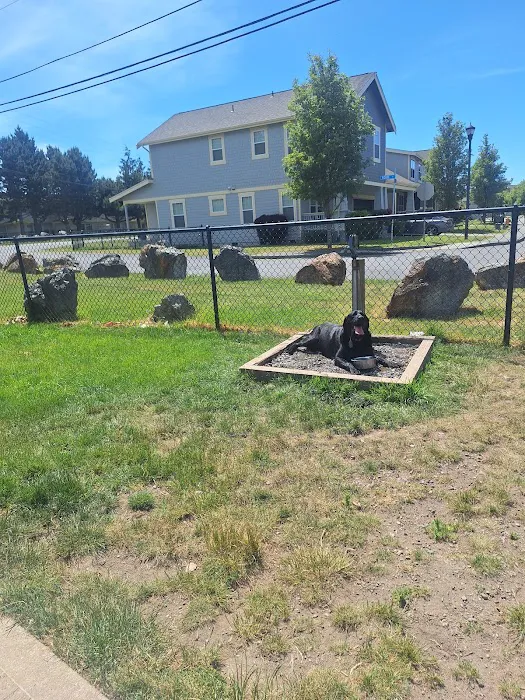 Dog park 6