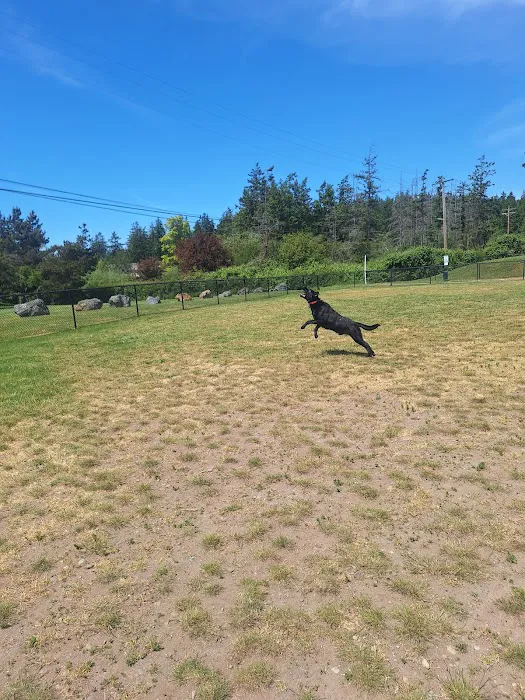 Dog park 10