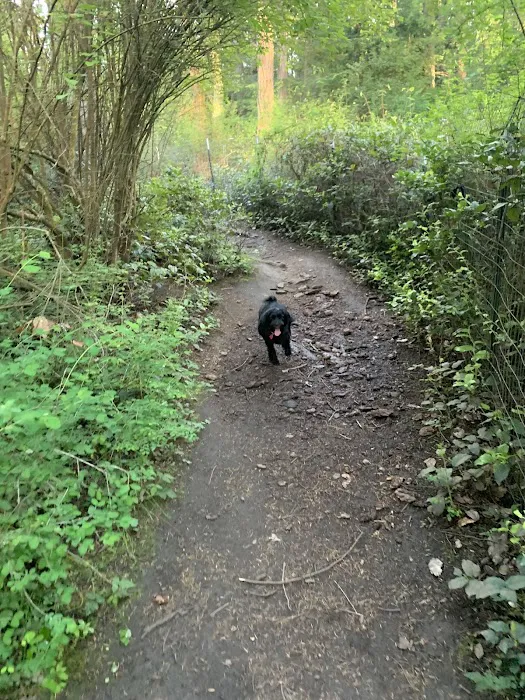 Patmore Park 8