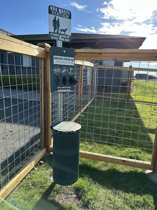 O'Donnell's Dog Park 1