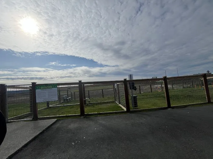 O'Donnell's Dog Park 10