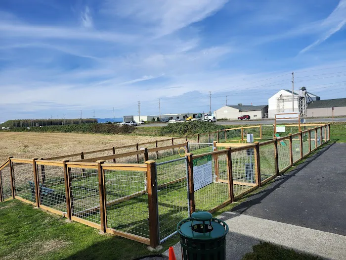 O'Donnell's Dog Park 4