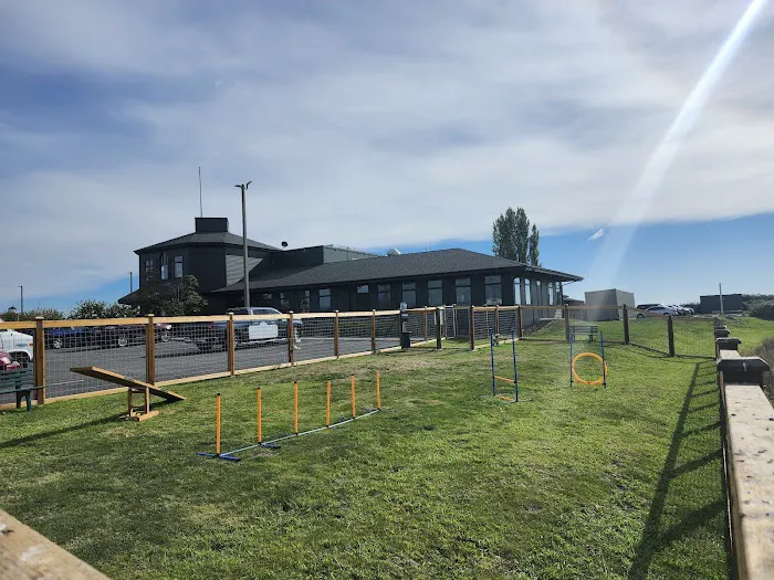 O'Donnell's Dog Park 8