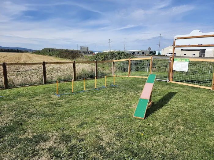 O'Donnell's Dog Park 7