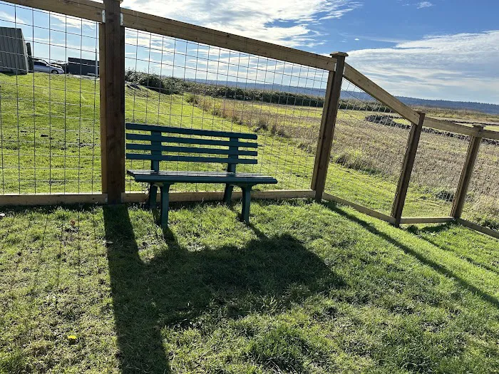 O'Donnell's Dog Park 6