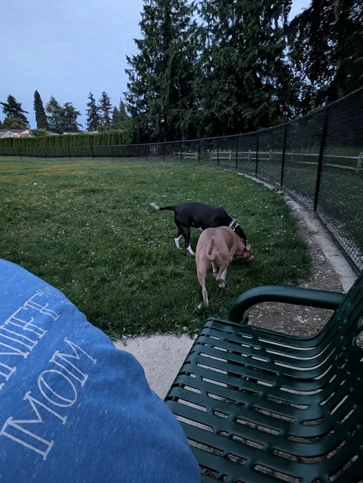 Jack and Helen Doyle Dog Park 10