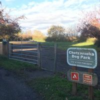 Chetzemoka Dog Park ico