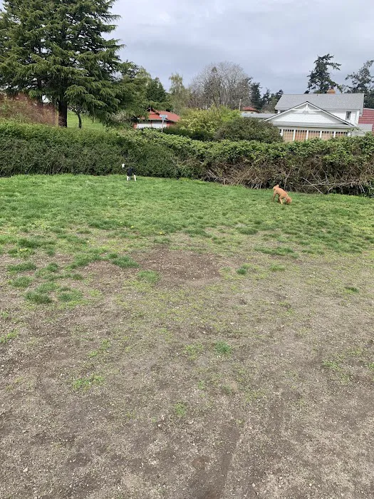 Chetzemoka Dog Park 2