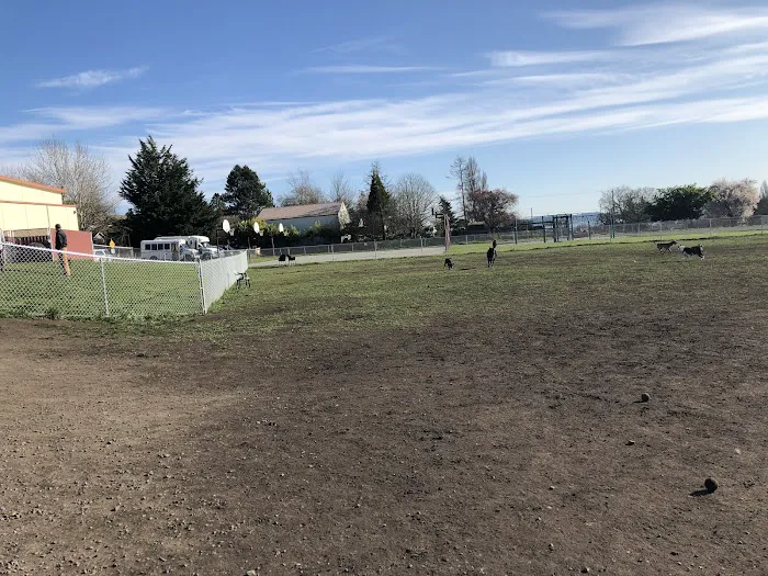 Mountain View Dog Park 9