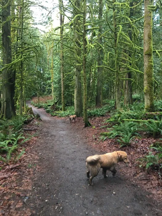 Lake Padden Dog Park 3
